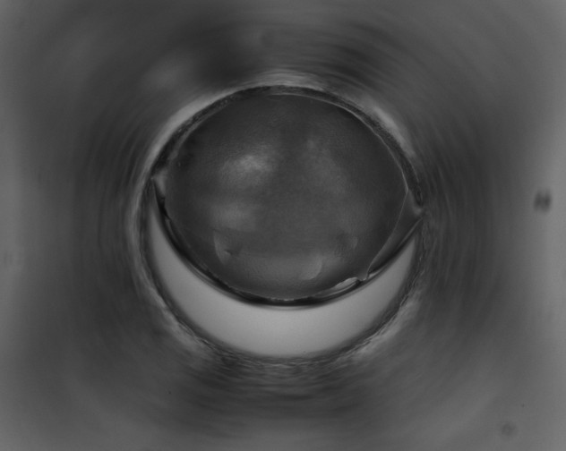 X0000102011125200807181222