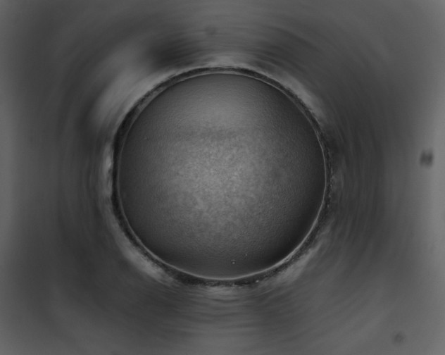 X0000102011126200807181222