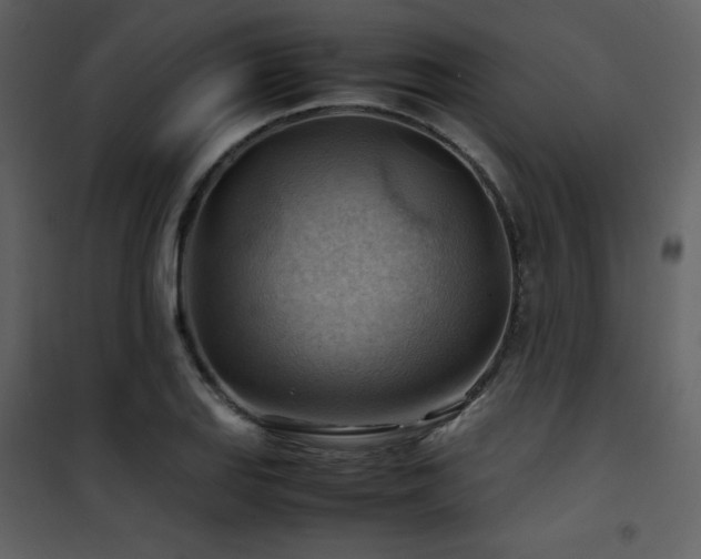 X0000102011127200807181222