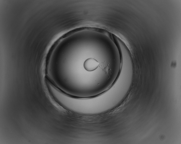 X0000102011128200807181222
