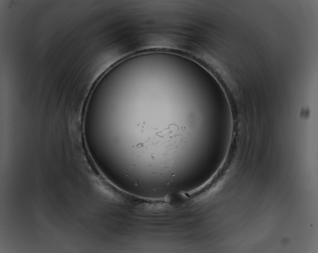 X0000102011129200807181222