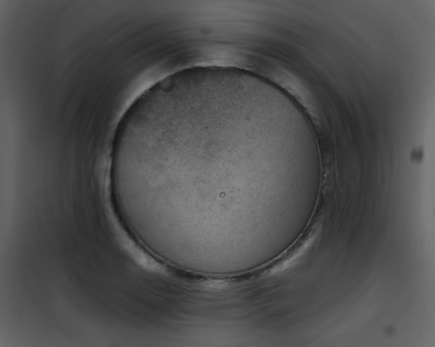 X0000102011130200807181222