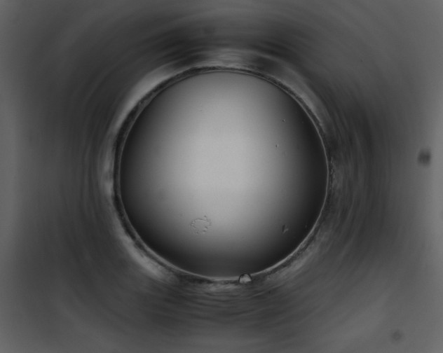 X0000102011131200807181222