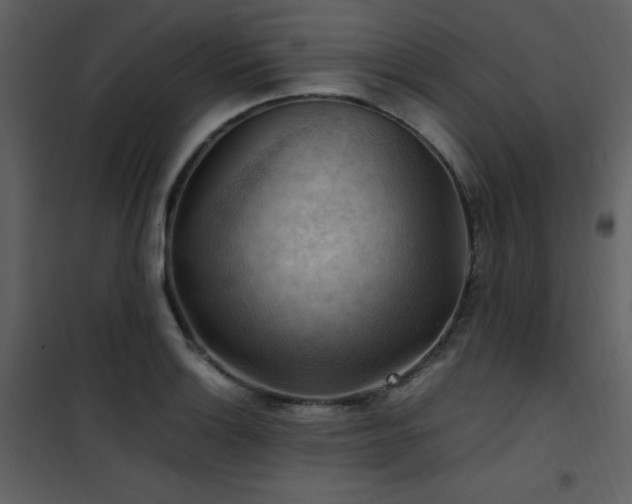 X0000102011132200807181222