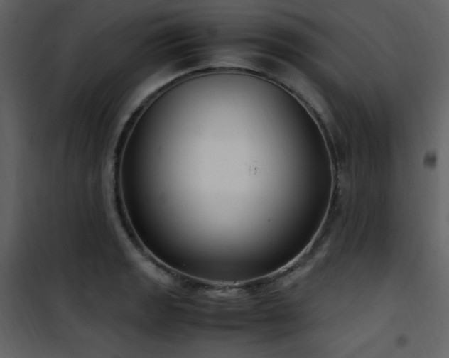 X0000102011133200807181222