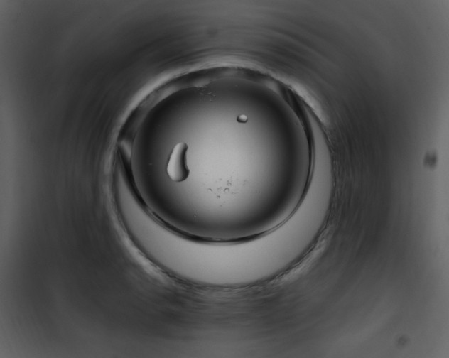 X0000102011134200807181222