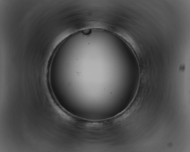 X0000102011135200807181222
