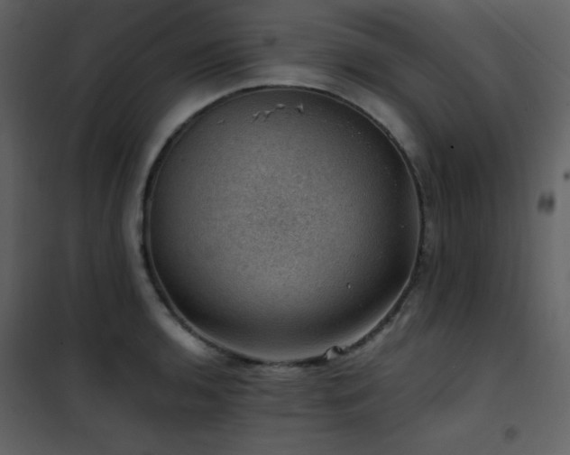 X0000102011136200807181222