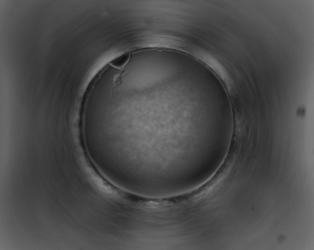 X0000102011138200807181222