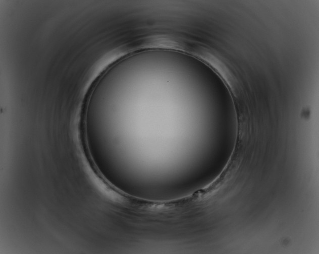 X0000102011139200807181222