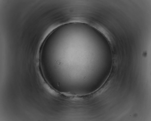 X0000102011140200807181222