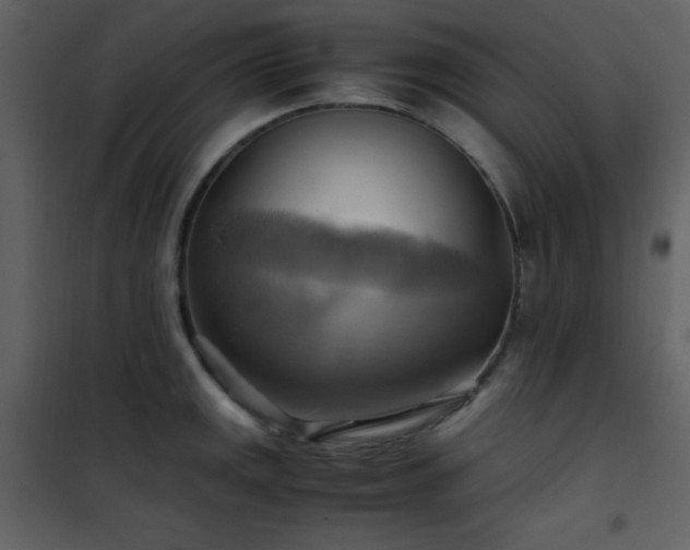 X0000102011141200807181222