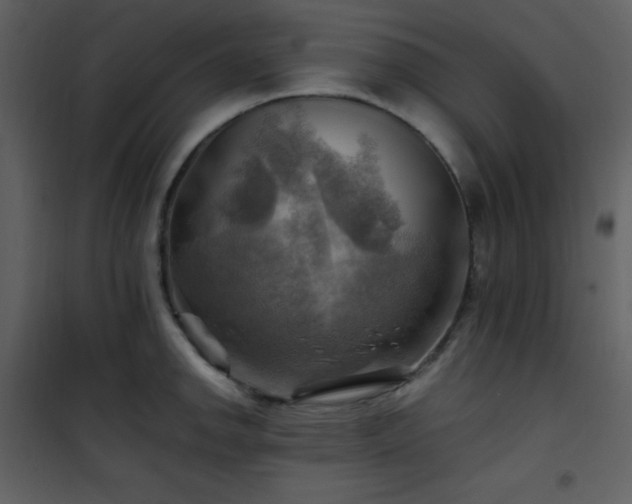 X0000102011142200807181222
