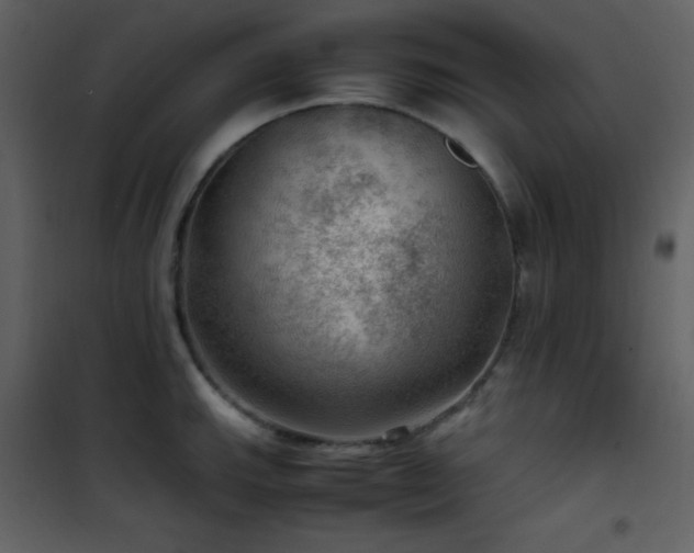 X0000102011143200807181222