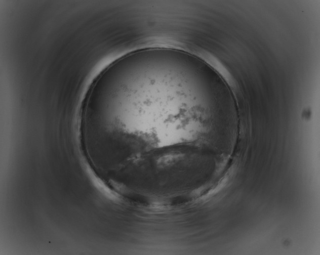 X0000102011144200807181222