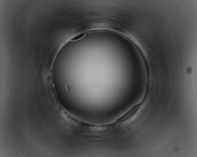 X0000102011145200807181222