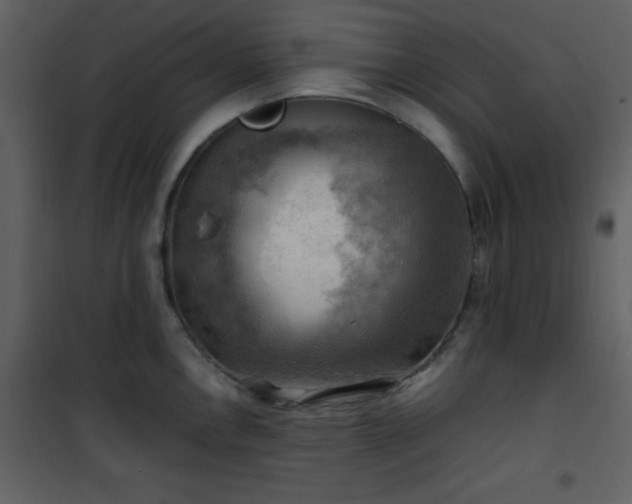 X0000102011146200807181222