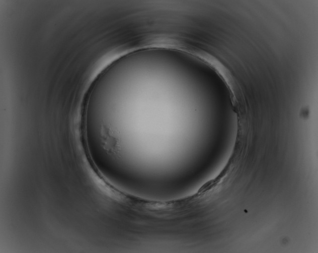 X0000102011147200807181222