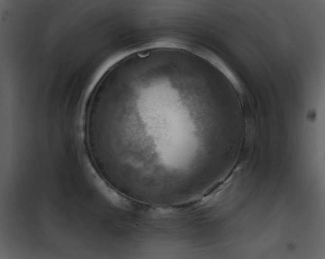 X0000102011148200807181222