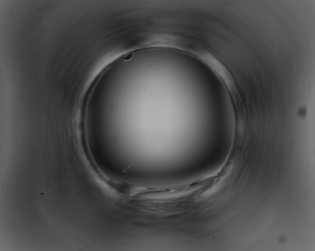 X0000102011149200807181222