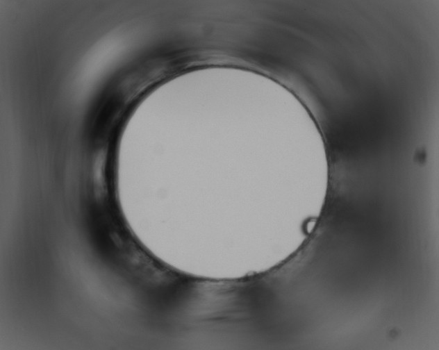 X0000102011150200807181222
