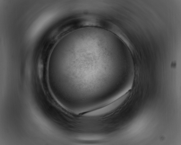 X0000102011151200807181222