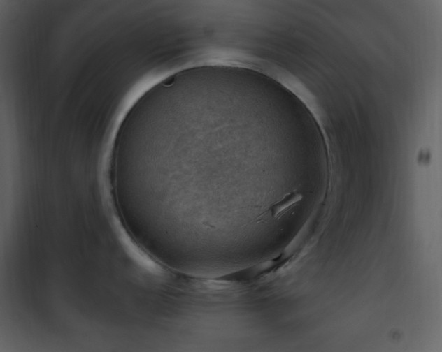 X0000102011152200807181222
