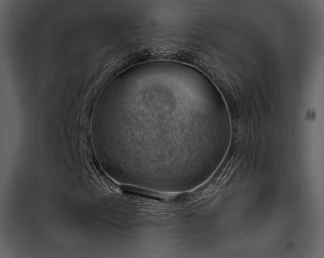 X0000102011153200807181222