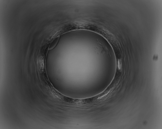 X0000102011155200807181221