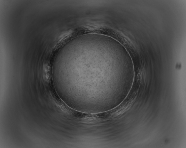 X0000102011156200807181221