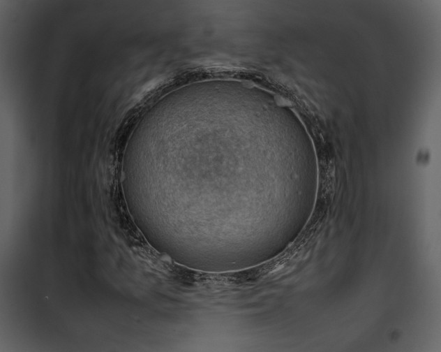 X0000102011157200807181221