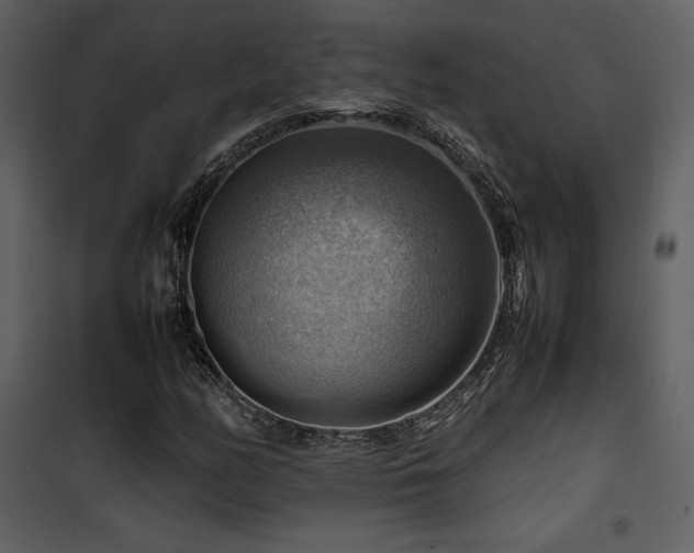 X0000102011158200807181221