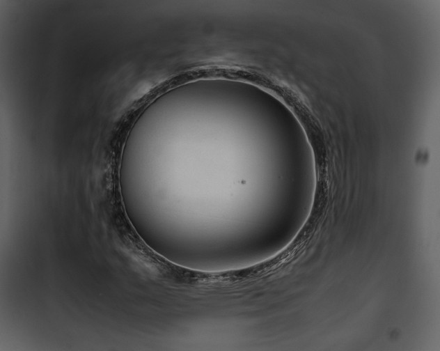 X0000102011159200807181221