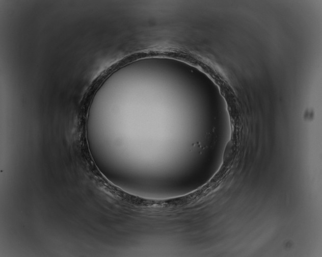 X0000102011160200807181221