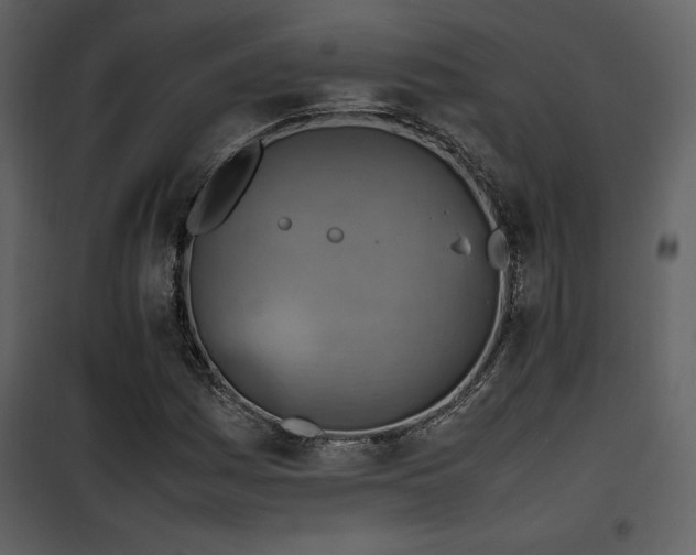 X0000102011161200807181221