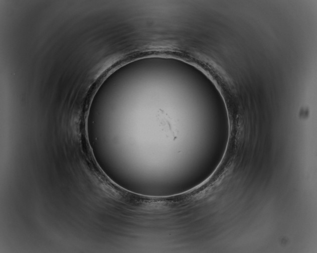 X0000102011162200807181221