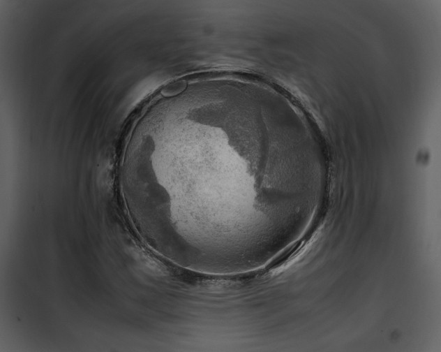 X0000102011163200807181221