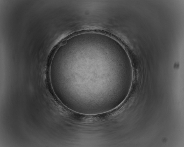 X0000102011165200807181221