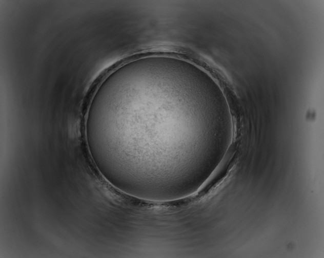 X0000102011166200807181221