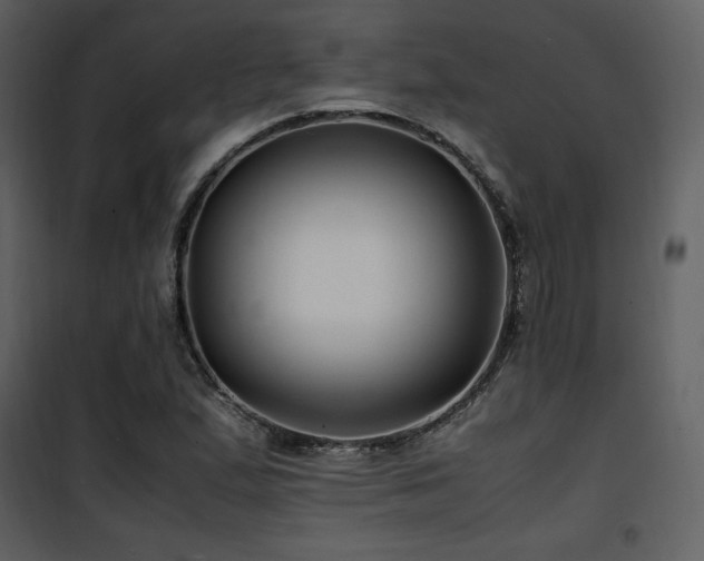 X0000102011167200807181221
