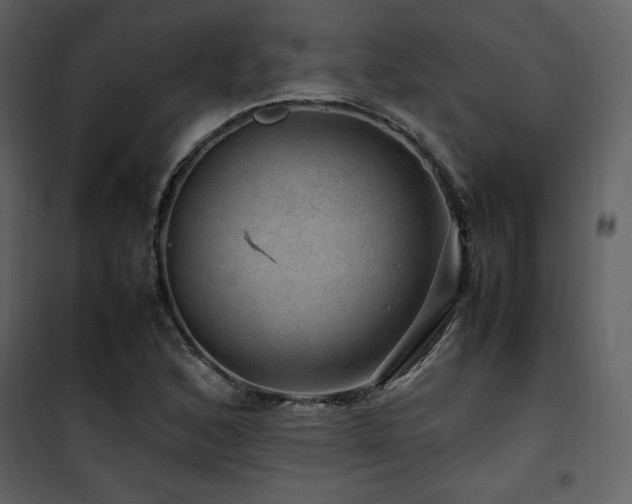 X0000102011168200807181221
