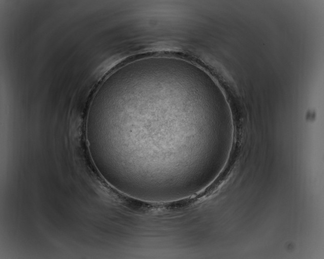 X0000102011169200807181221