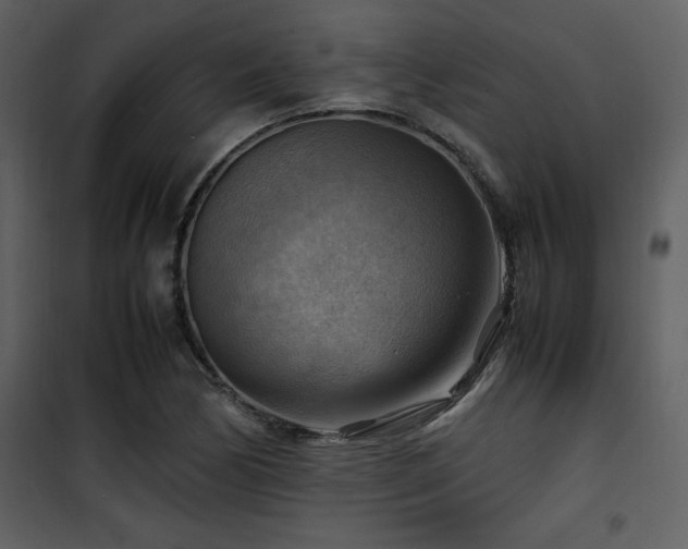 X0000102011170200807181221