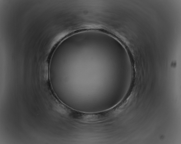 X0000102011171200807181221