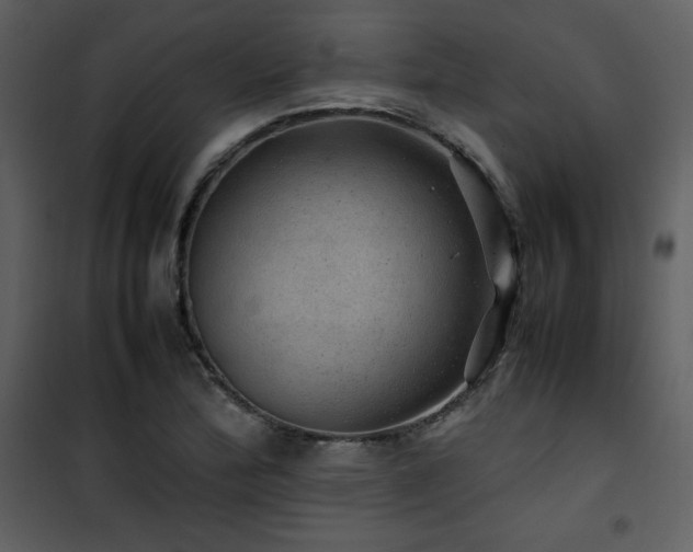 X0000102011172200807181221