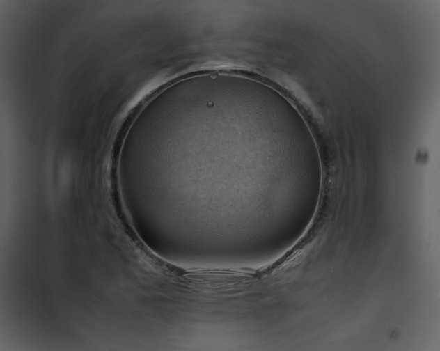 X0000102011173200807181221