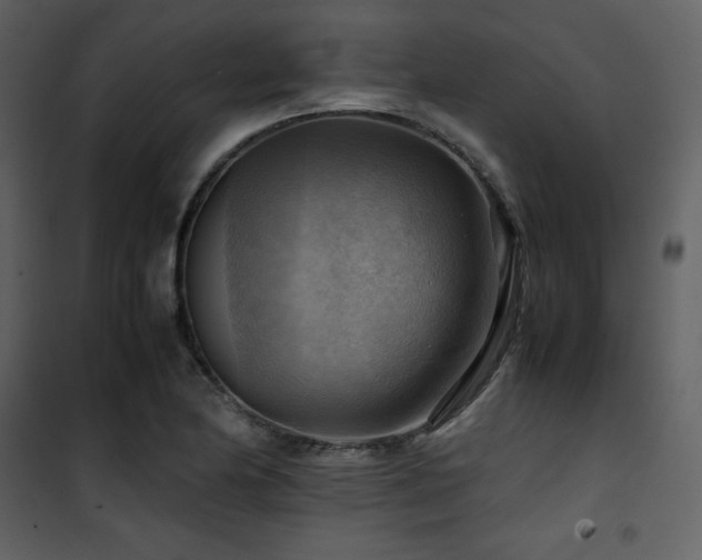 X0000102011174200807181221