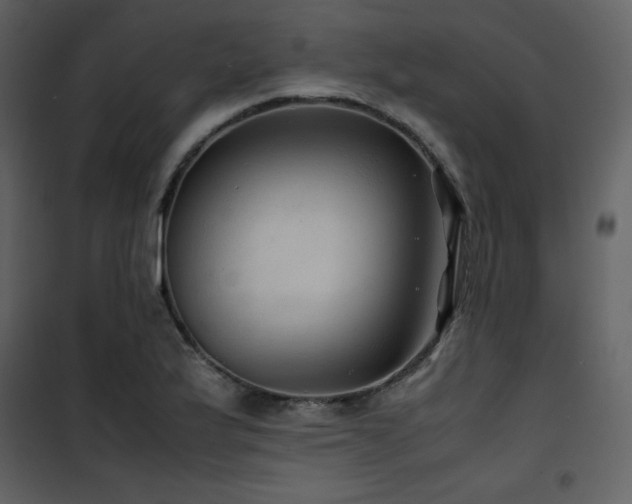 X0000102011175200807181221