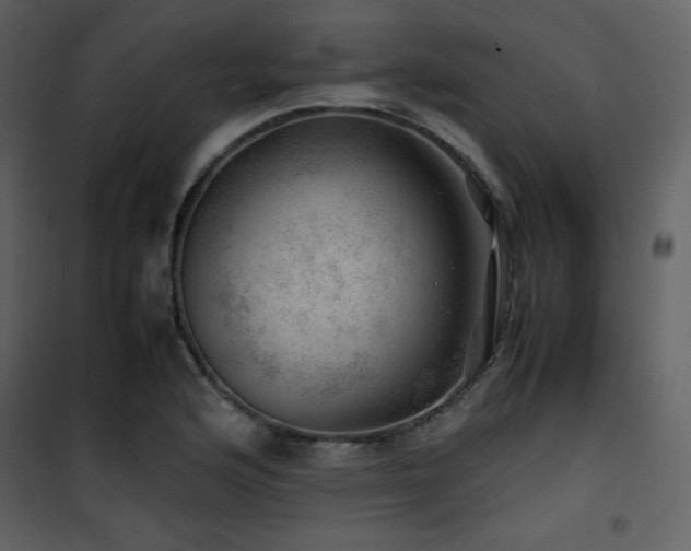 X0000102011176200807181221