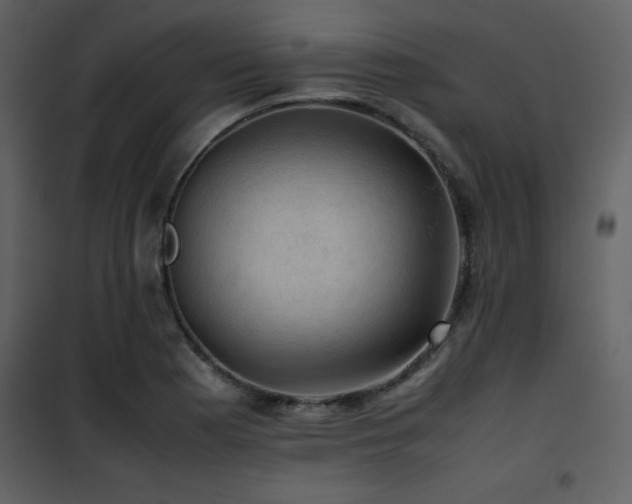X0000102011177200807181221